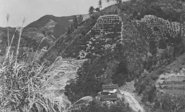 Slow Down and Tend the Field: What Japanese Village Wisdom Is Teaching Burned-Out Americans About Living Again